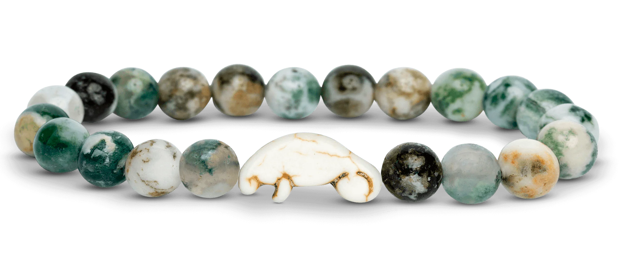 Manatee Mission Collection